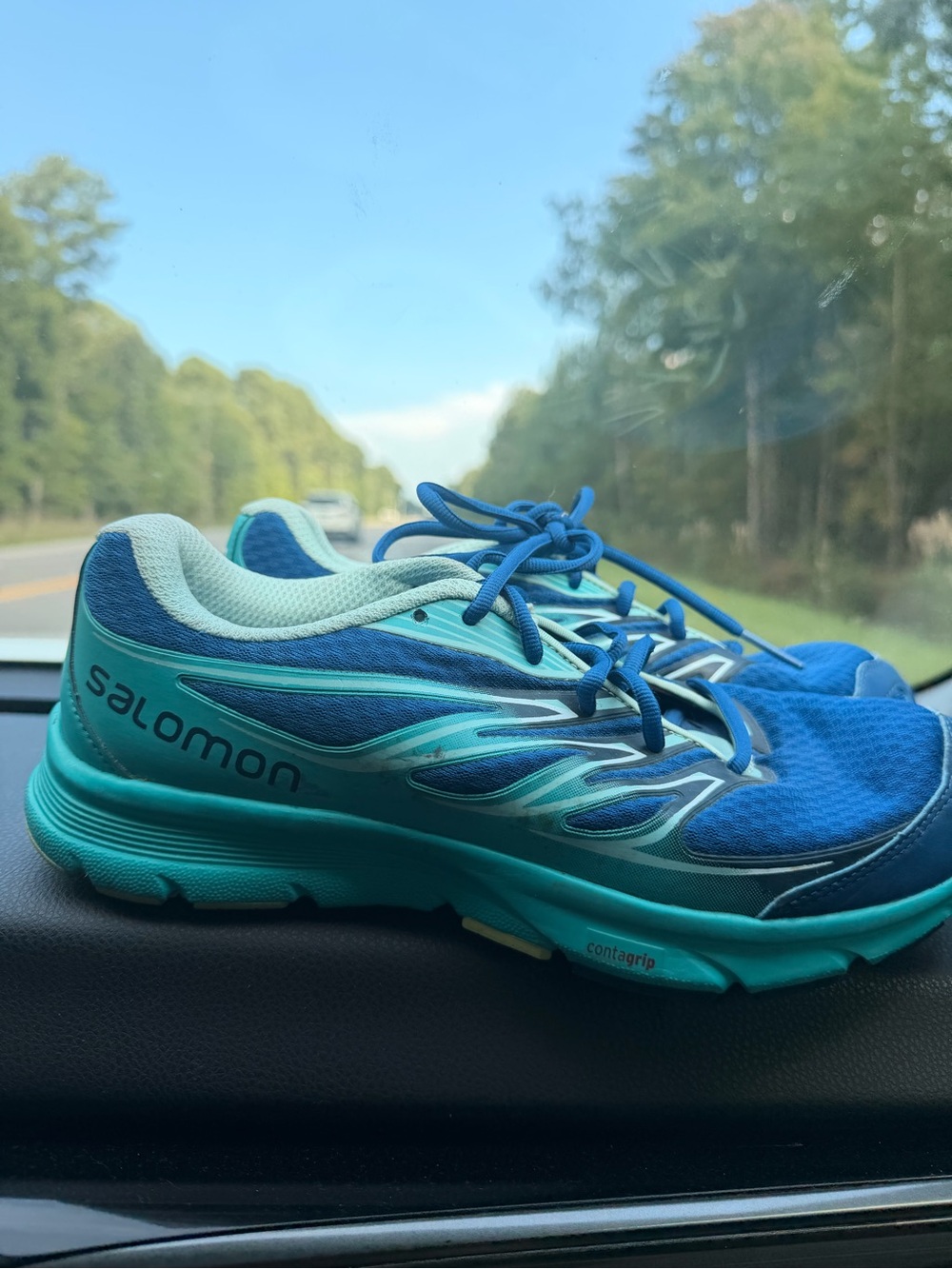 Salomon Women's Teal and Blue Running Sneakers